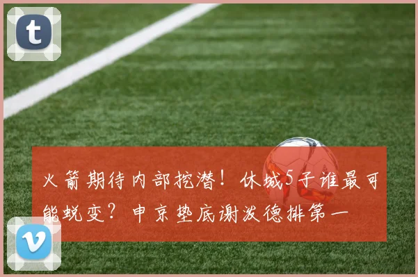 火箭期待内部挖潜！休城5子谁最可能蜕变？申京垫底谢泼德排第一